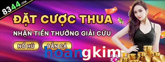 Tổng quan về nhà cái hoangkim