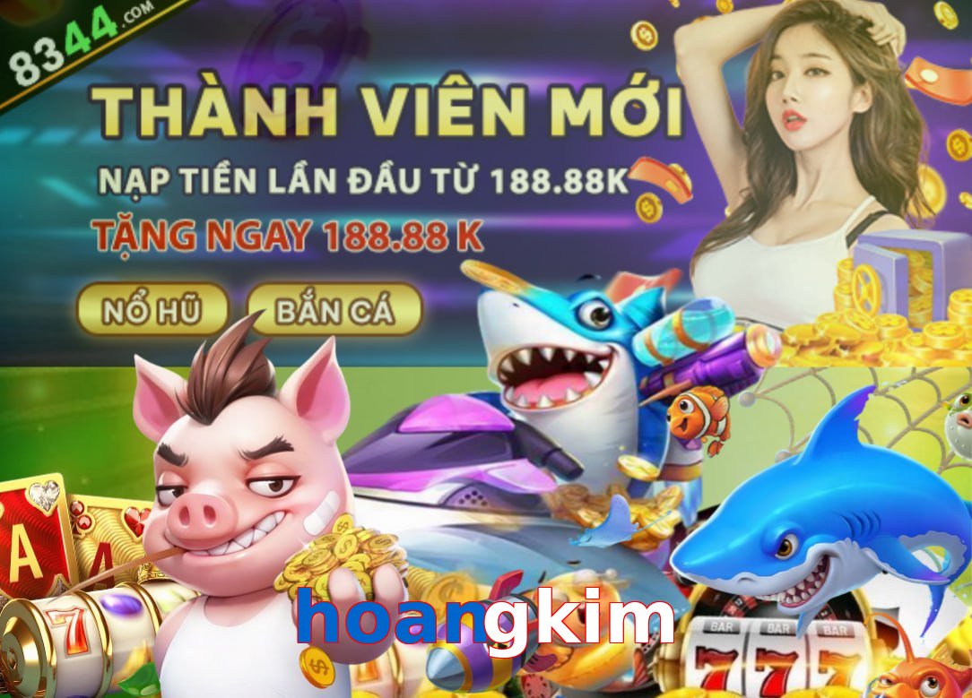 banner-hoangkim